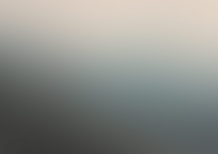 blurry background: white/grey